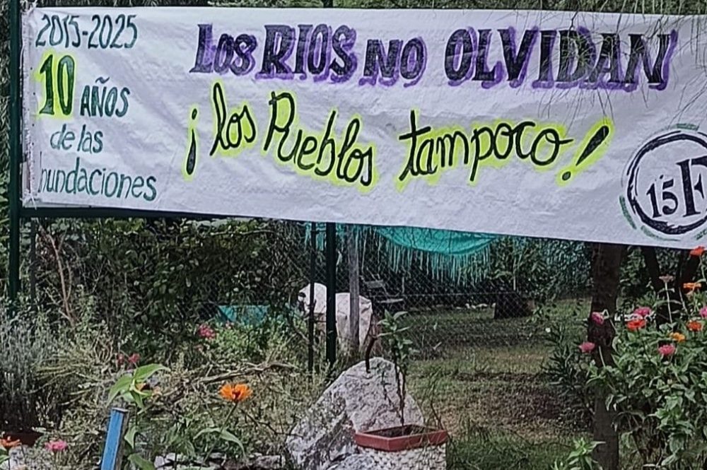 WhatsApp Image 2025-02-19 at 15.53.