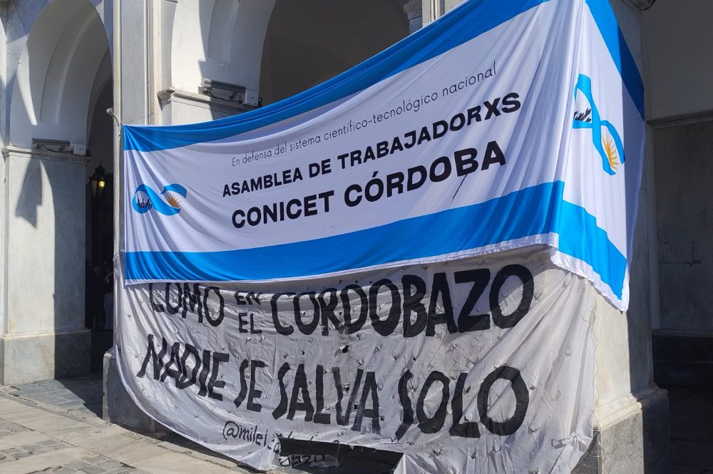 WhatsApp Image 2025-08-06 at 11.36.54