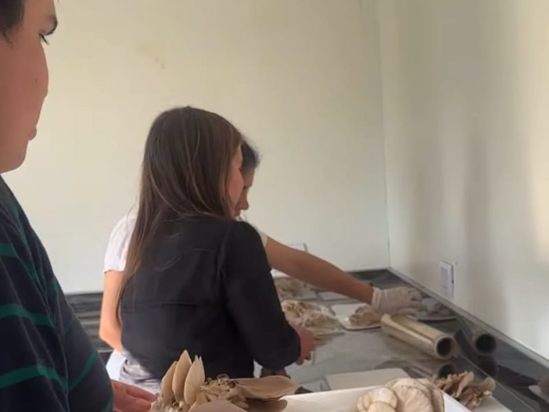 WhatsApp Image 2025-12-10 at 21.47.47