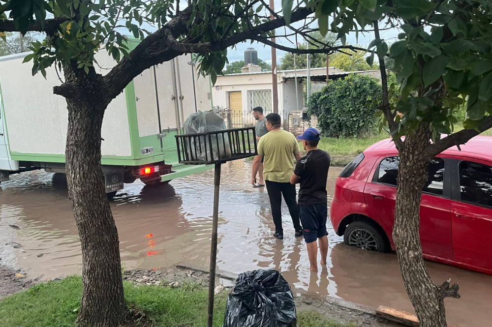 WhatsApp Image 2026-03-09 at 17.44.04