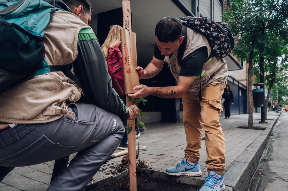 WhatsApp Image 2026-03-16 at 11.19.58