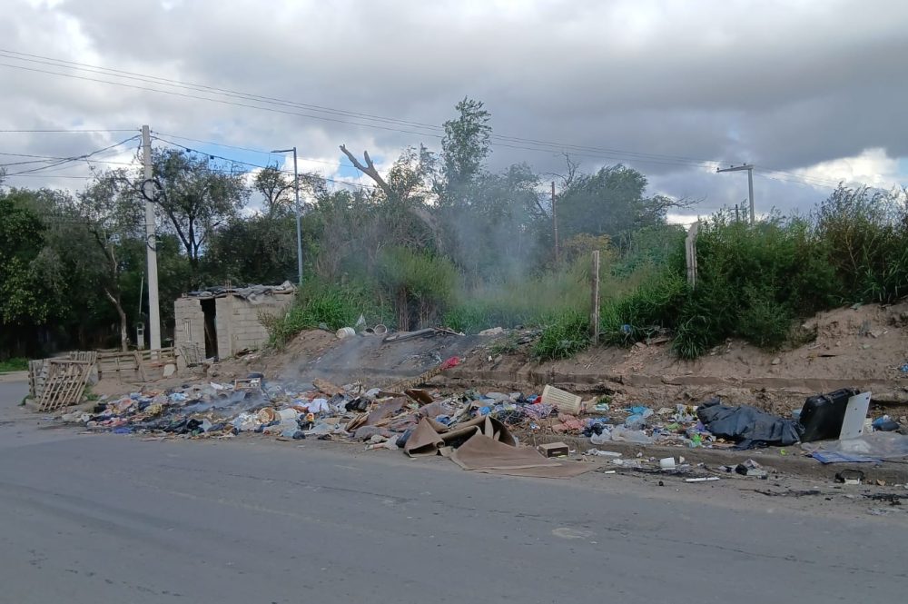 WhatsApp Image 2026-03-16 at 17.11.36