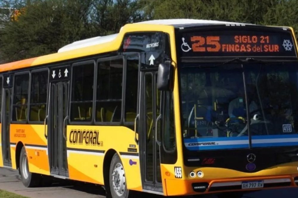 WhatsApp Image 2026-04-10 at 11.42.49