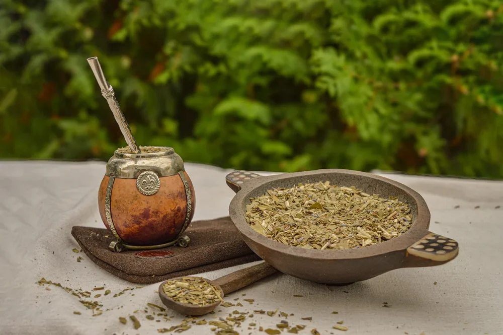 Yerba mate