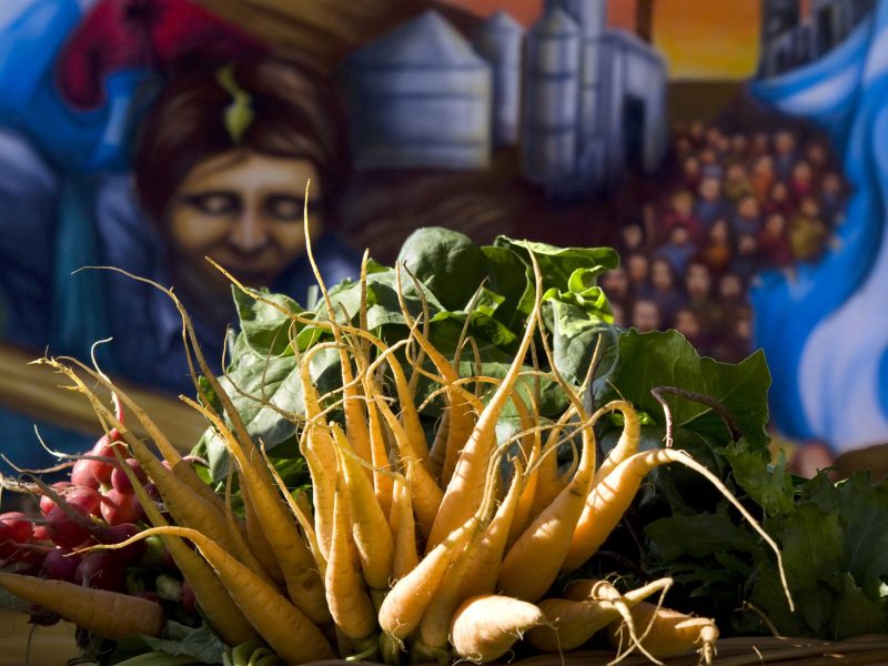 AGRICULTURA FAMILIAR