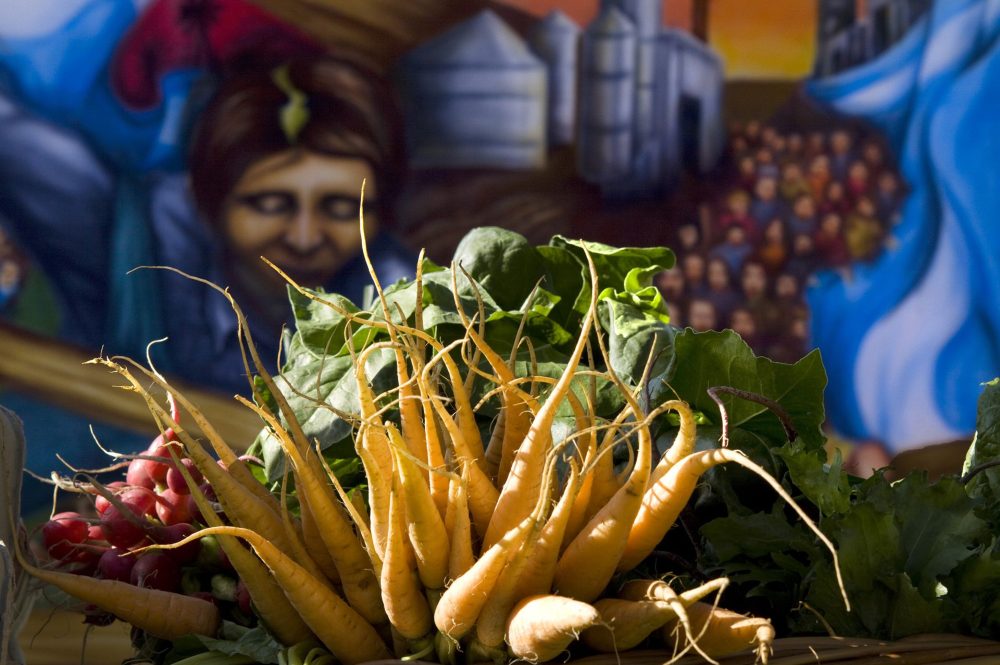 AGRICULTURA FAMILIAR