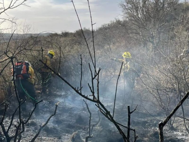 brigada-sacha-incendios-cordoba-1-1024x1024