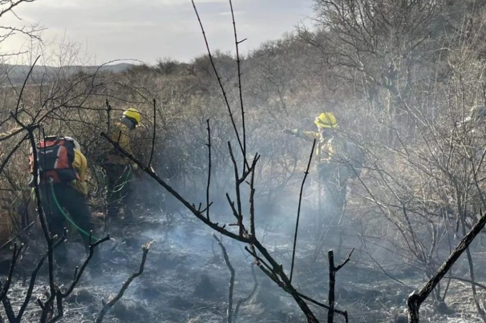 brigada-sacha-incendios-cordoba-1-1024x1024
