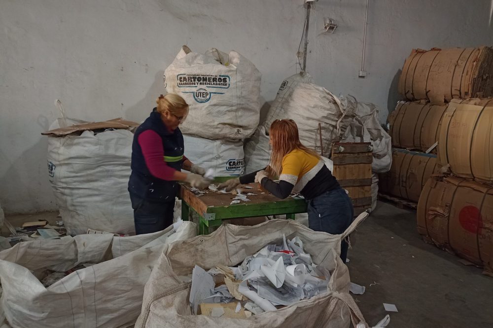 cae el precio del cartón