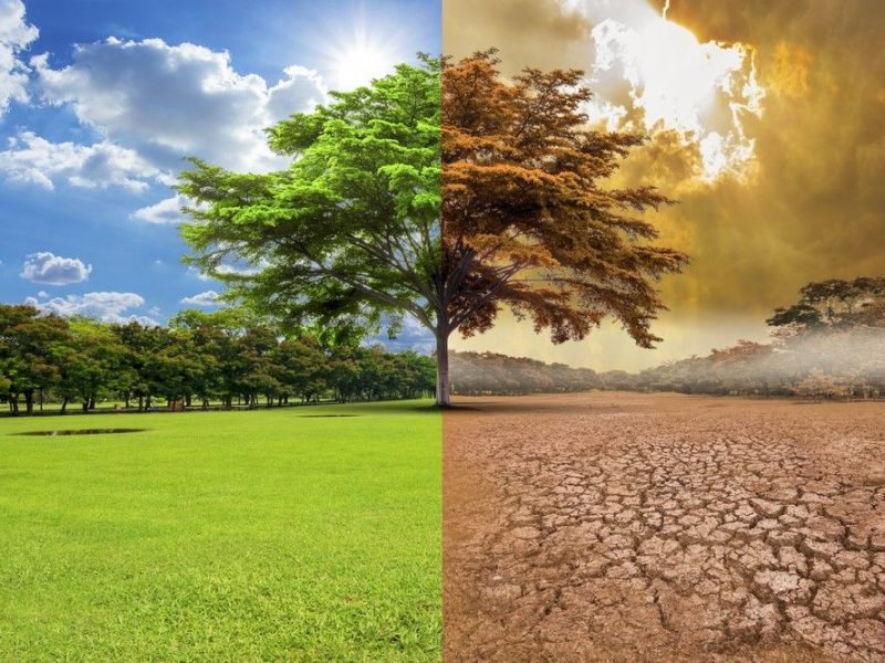 cambio climático