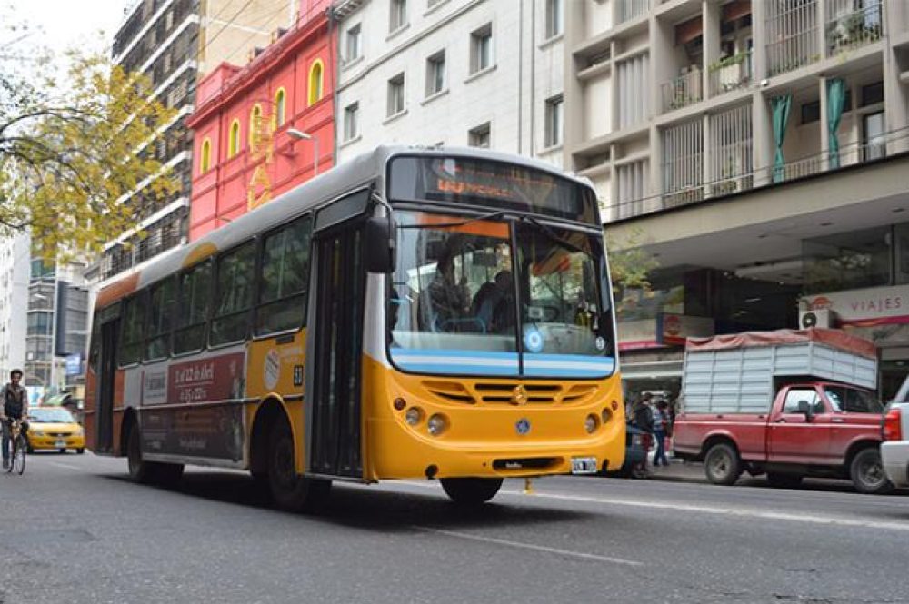coniferal-colectivo-genitales-denuncia-policia-cordoba