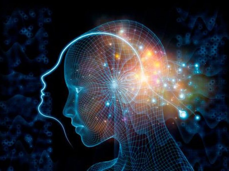 consiencia-vs-conciencia-696x348