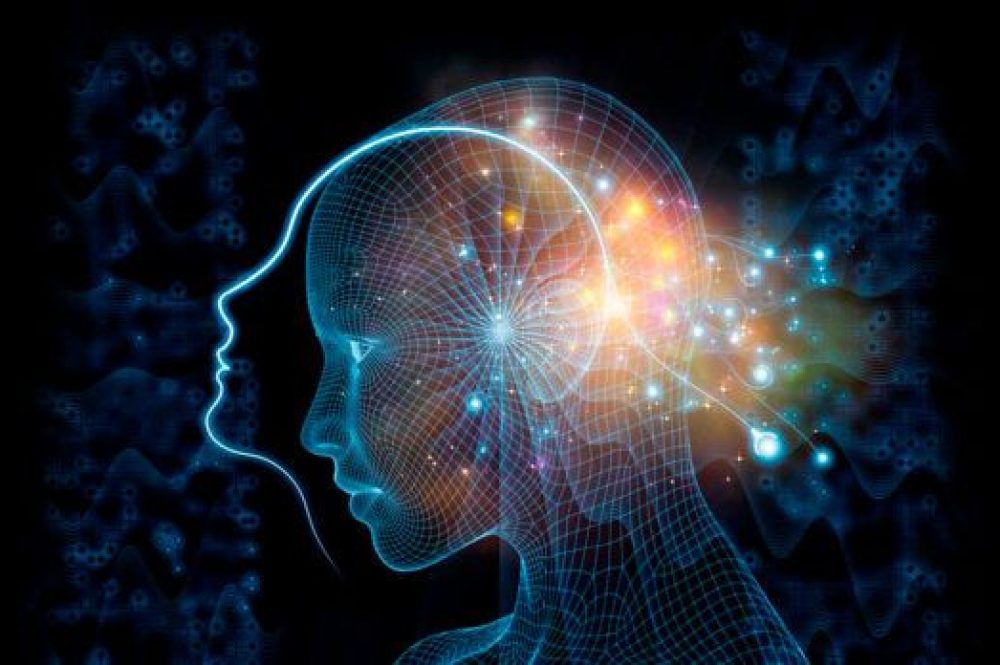 consiencia-vs-conciencia-696x348