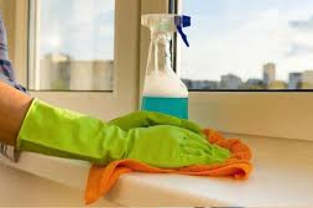 Trabajo domestico Empleada doméstica