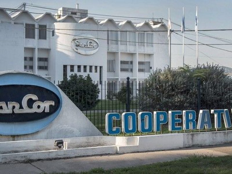 despidos sancor