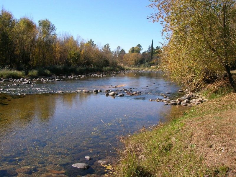 diariotortuga
