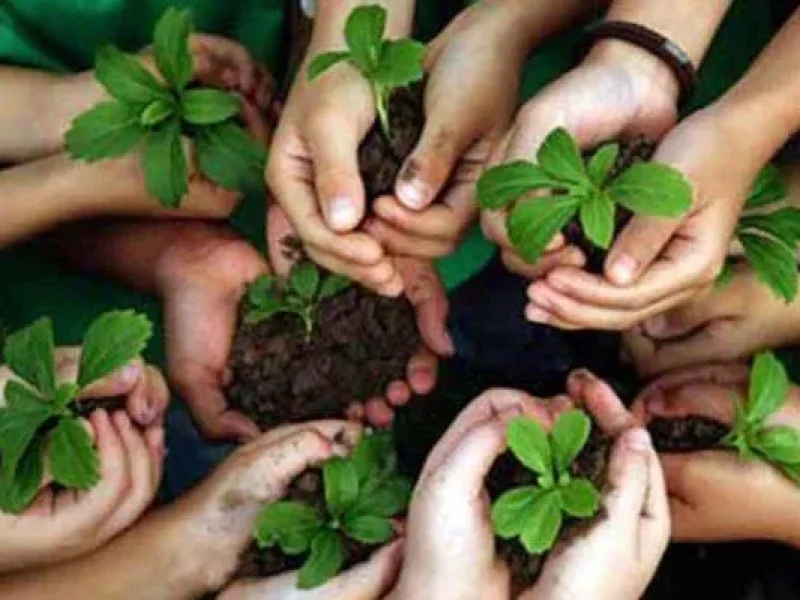 ecopedagogia