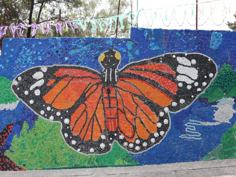 el despertar de la conciencia ambiental