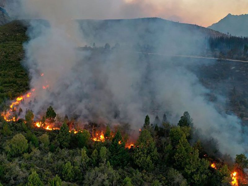 TELAM 26012021 Sigue fuera de control el incendio en El Bolsón y combaten el fuego más de cien brigadistas. Creditos Radio FM del Pueblo 90.7 Cbri
