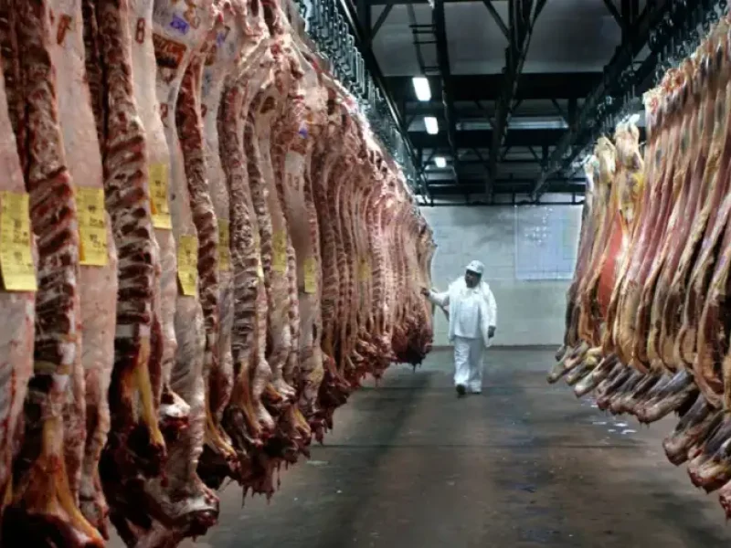 exportacion-de-carne-2123145