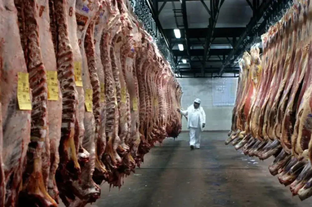 exportacion-de-carne-2123145