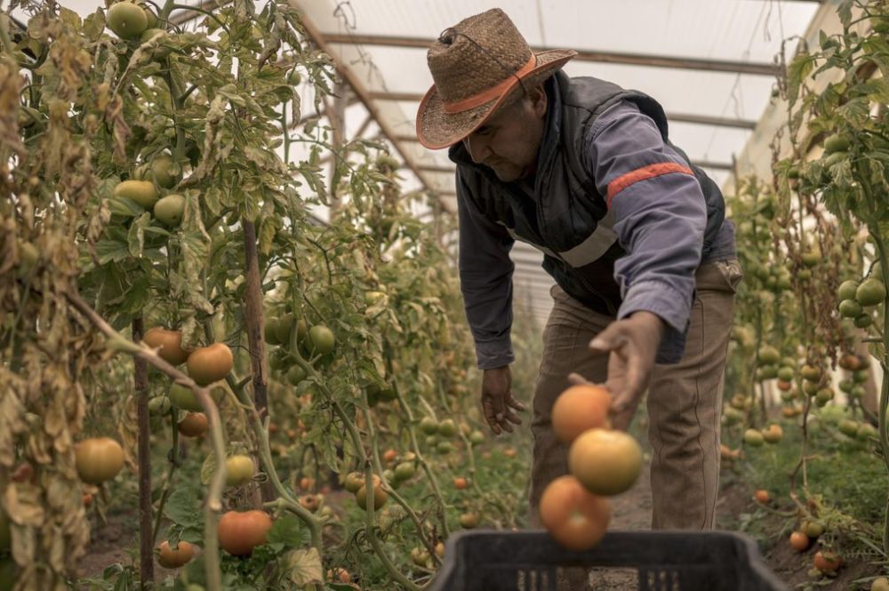 fe7f0c3f-0766-4f58-ba9e-4db013ee012b_16-9-discover-aspect-ratio_default_0