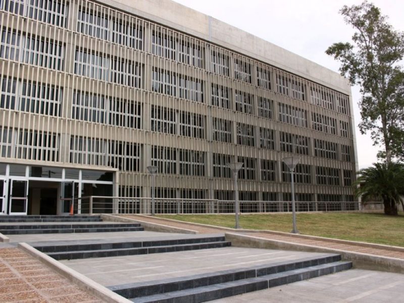 fileImagen