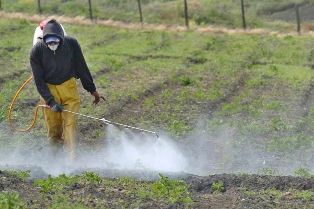 fumigaciones