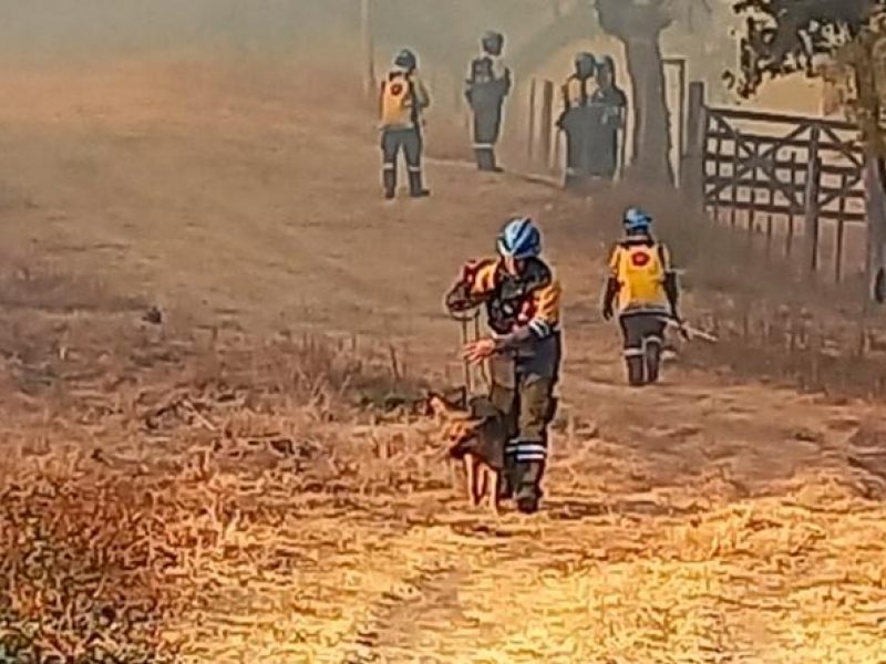 incendio salsipuedes