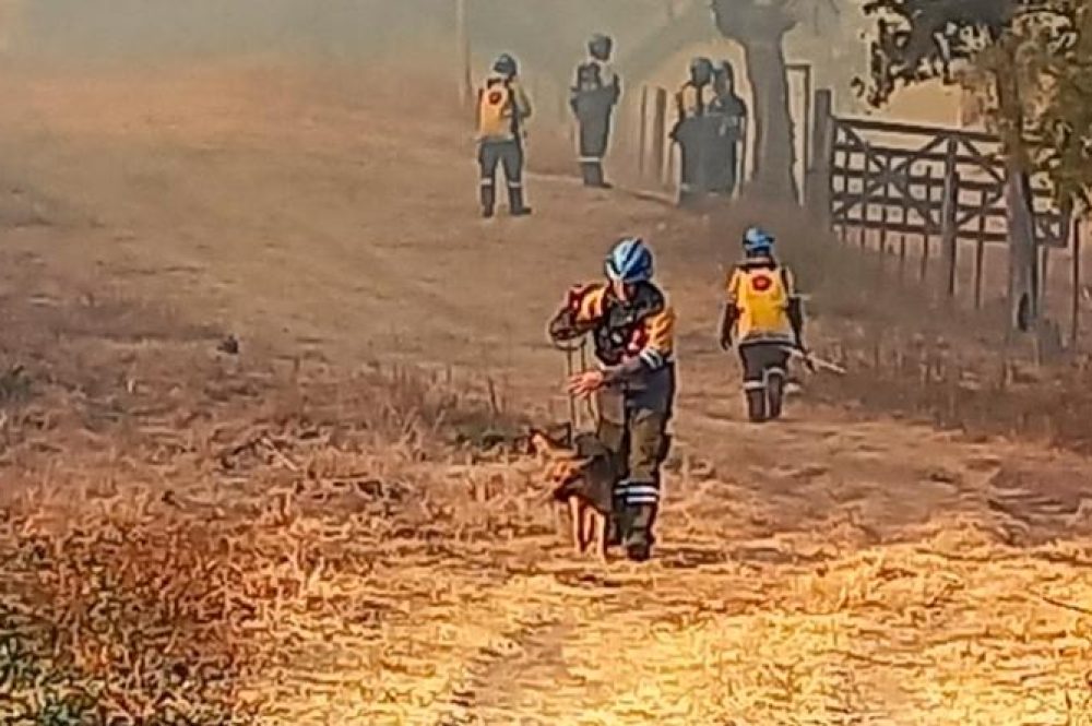 incendio salsipuedes