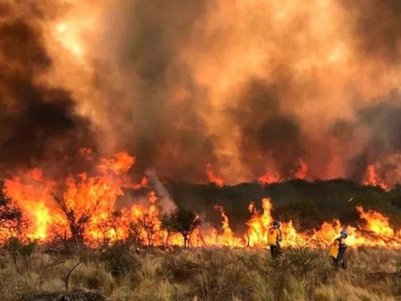 incendios_cordoba_crop1727883536651.jpg_1756841869