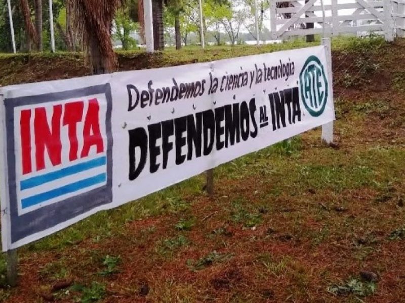 inta despidos