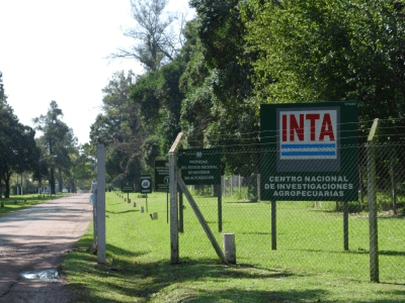 inta