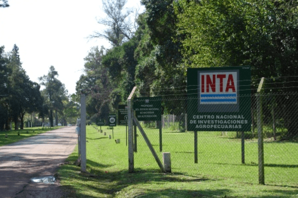 inta