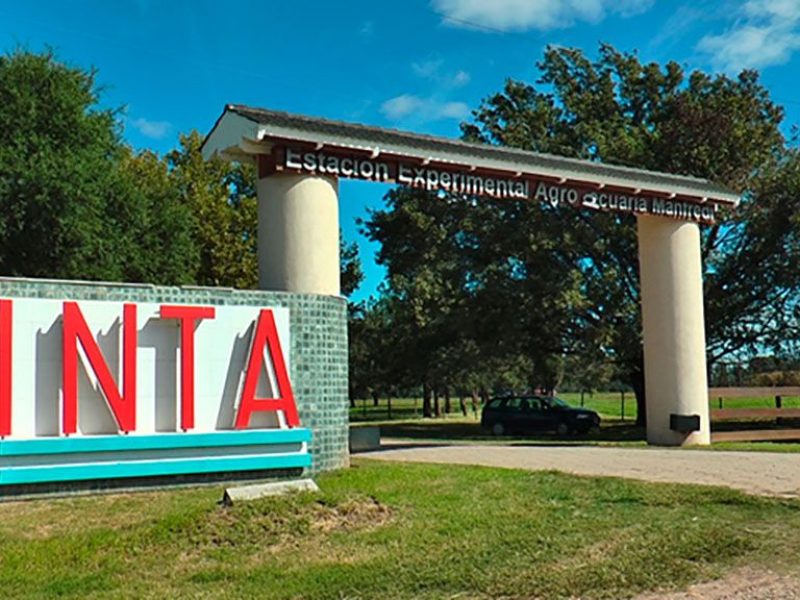 inta