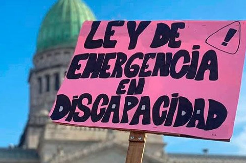 ley-de-emergencia-en-discapacidad