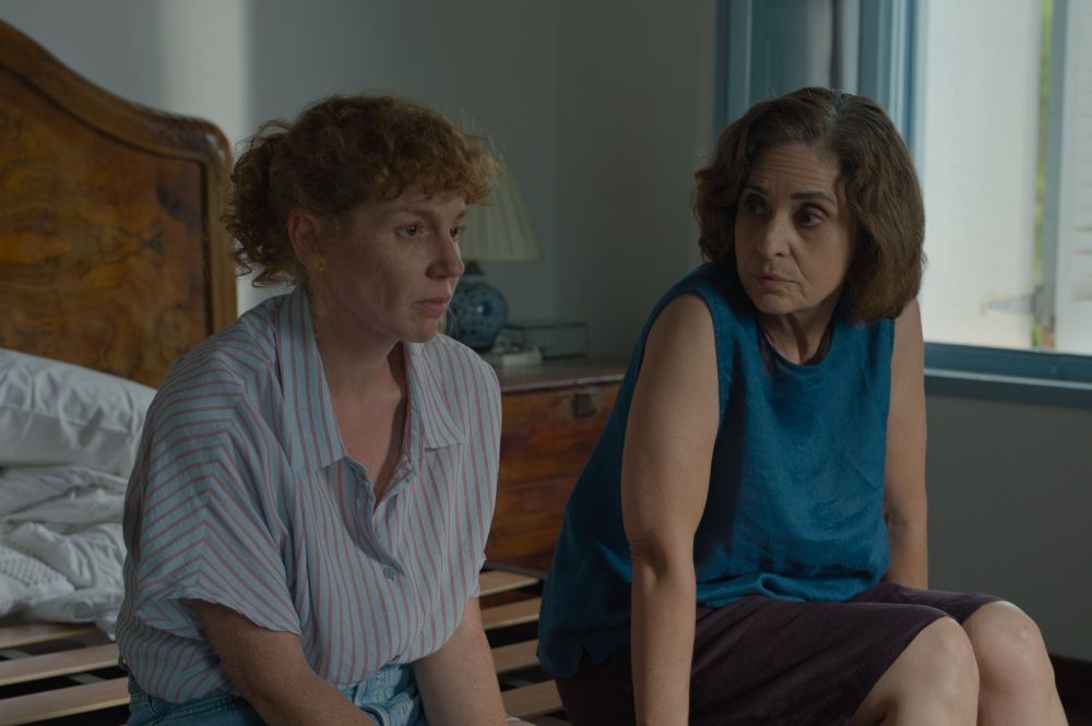 los pequeños amores cineclub municipal