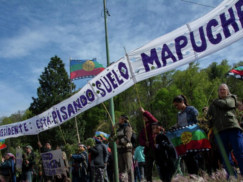 mapuches