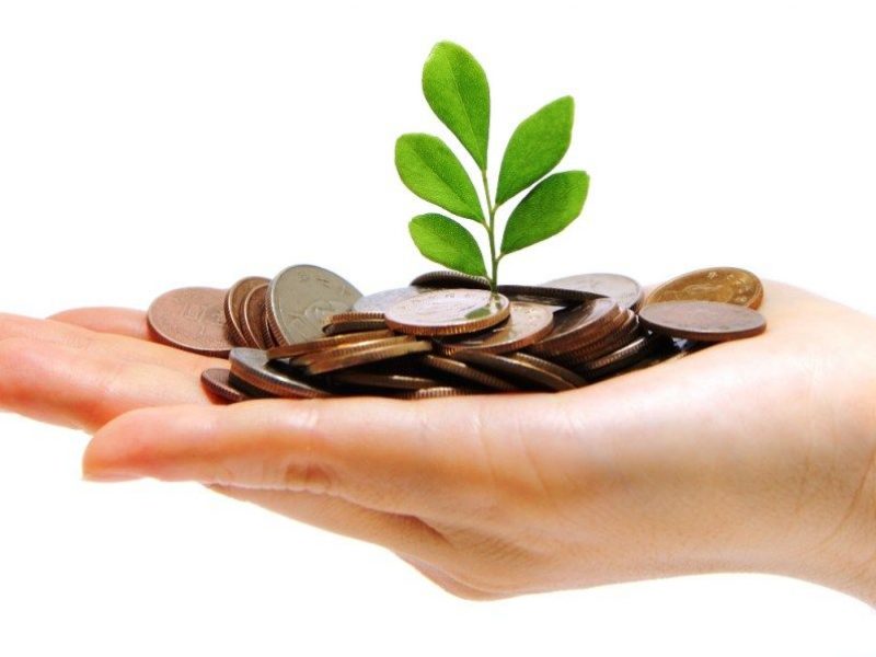hand full of money and holding a green plant