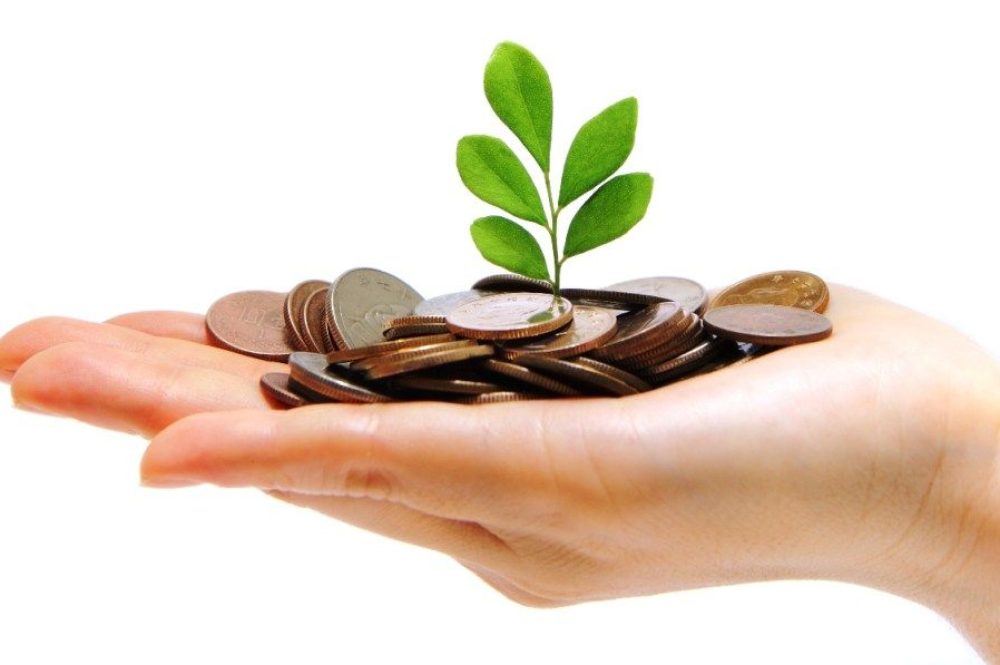 hand full of money and holding a green plant