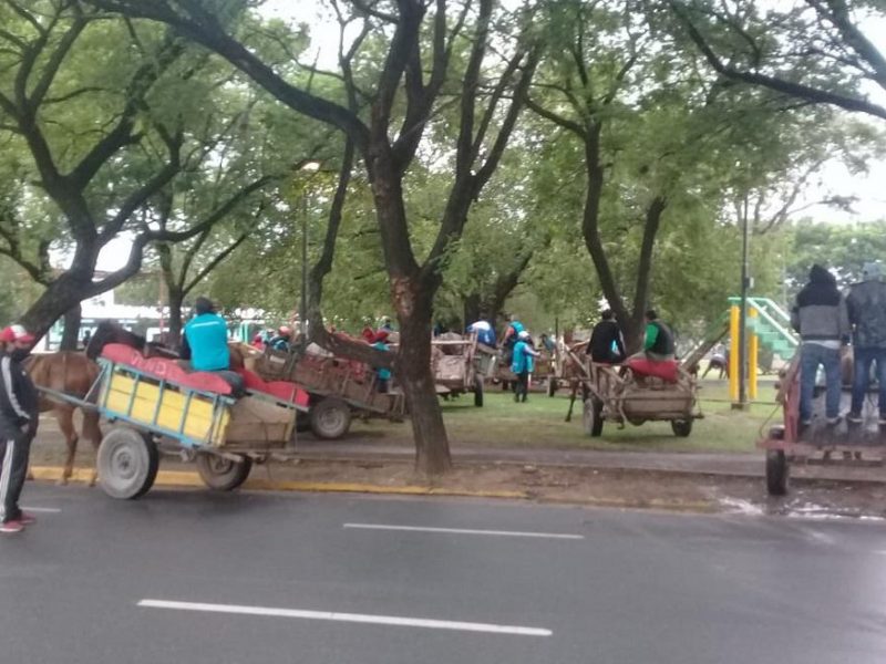 movilizacion