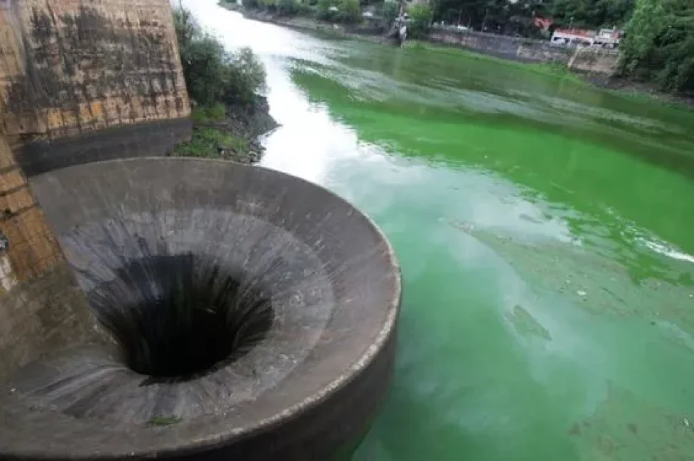 multimedia.normal.9ef5f44f59238d8e.4c61676f2053616e20526f717565202846756e64657073295f6e6f726d616c2e77656270