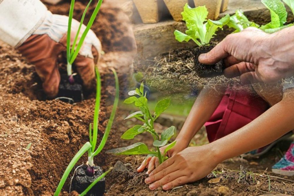 nota-6-agosto-principal-e1628521553835