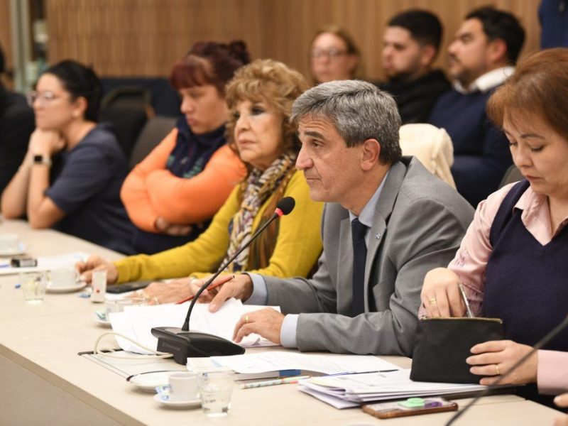 pablo-yedlin-comision-salud-diputados-1024x682
