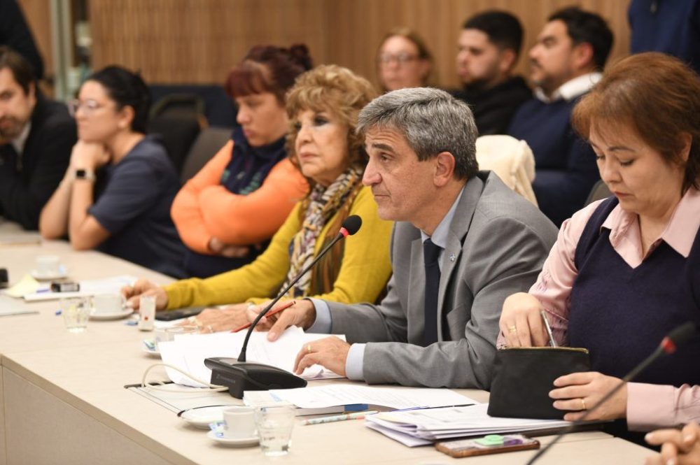 pablo-yedlin-comision-salud-diputados-1024x682