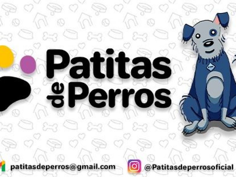 patitas de perros 2