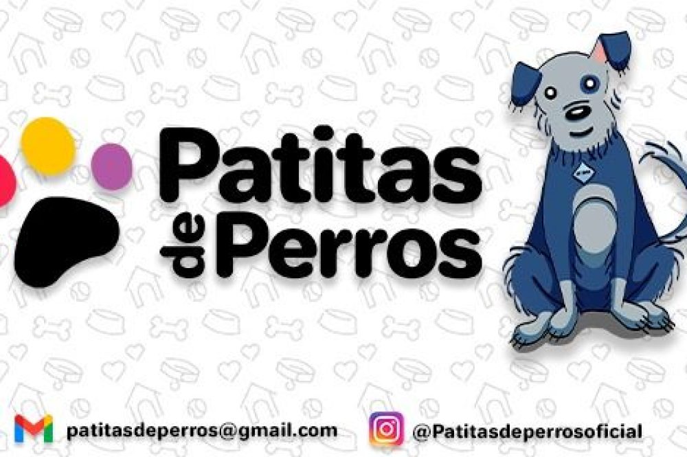 patitas de perros 2