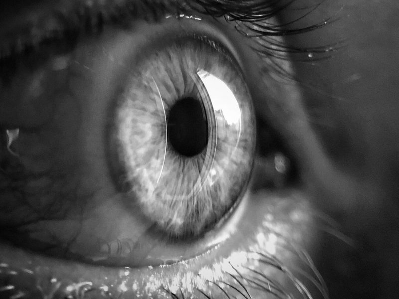 pexels-enfantnocta-3732993