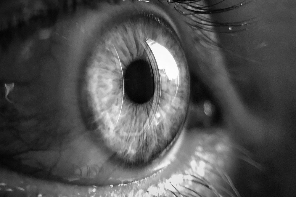 pexels-enfantnocta-3732993