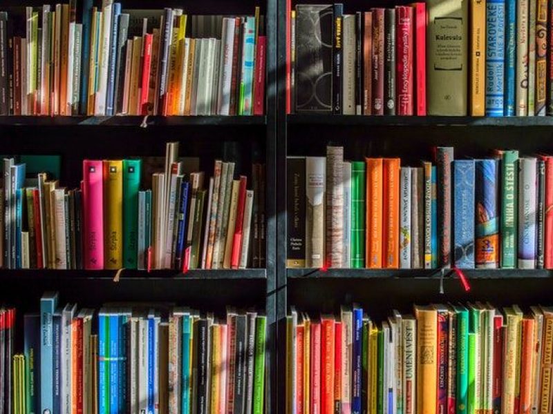 la biblio te cuenta